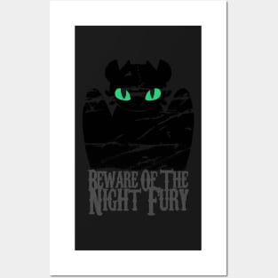 Beware of the night fury Posters and Art